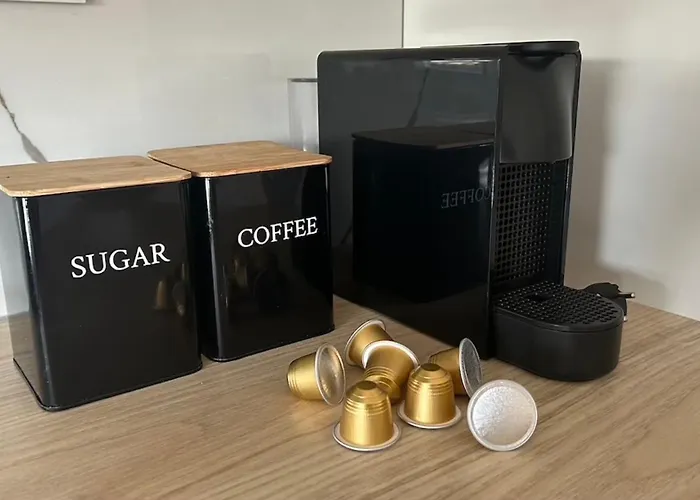 Pape * 布罗达里卡