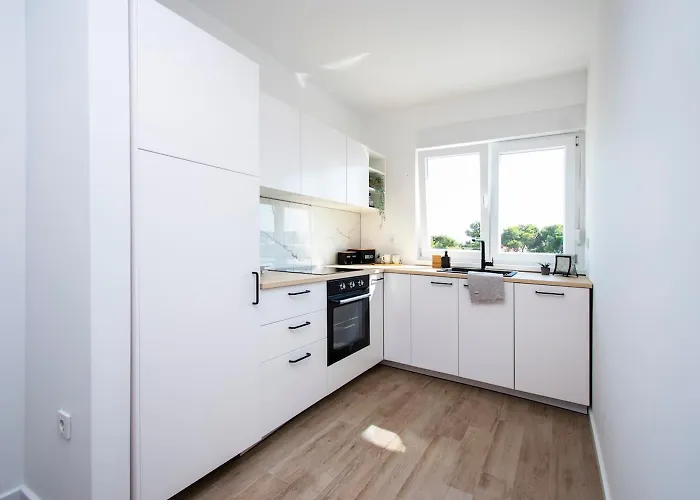 Pape * 布罗达里卡