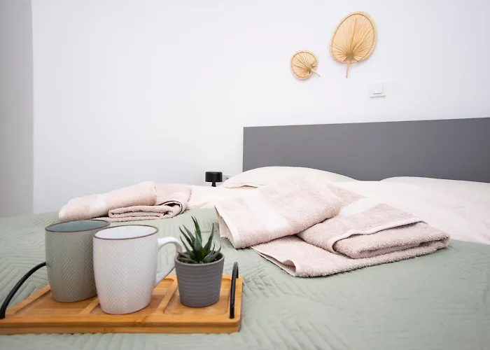 Pape 公寓 布罗达里卡